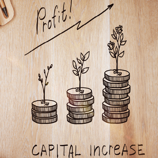 capital